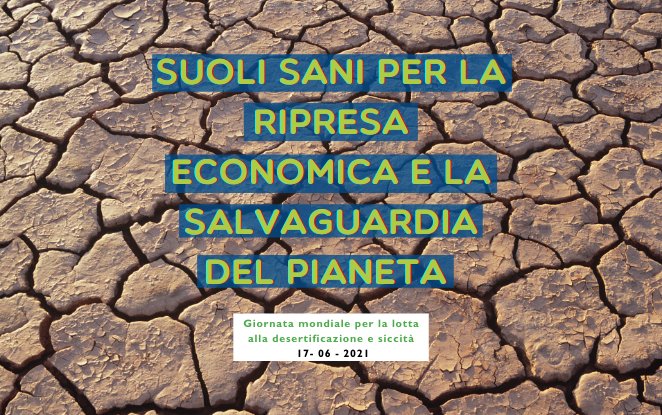 Giornata mondiale per la lotta alla desertificazione e siccità: suoli sani per la ripresa economica e la salvaguardia del pianeta